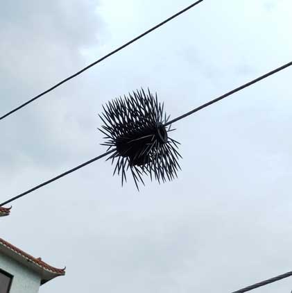 Wildlife preventive device